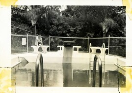 photo of the Pool